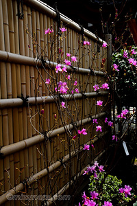 浅草寺伝法院