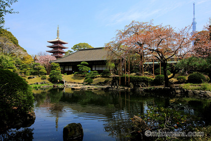 伝法院 浅草寺