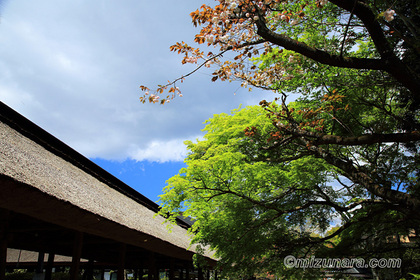 大雄寺