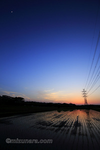 三日月 夕景 田園風景