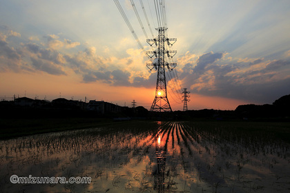 夕景 田園風景