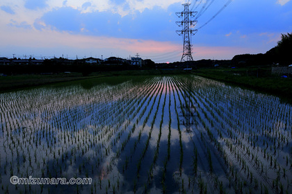 夕景 田園風景