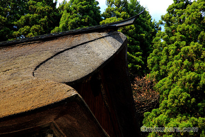 慈恩寺