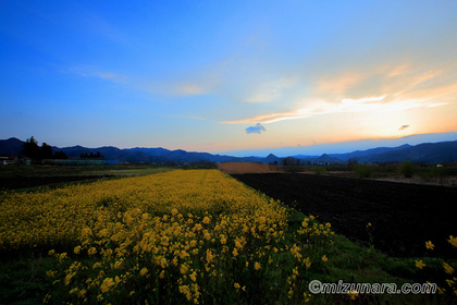 夕景