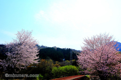 小国町片貝