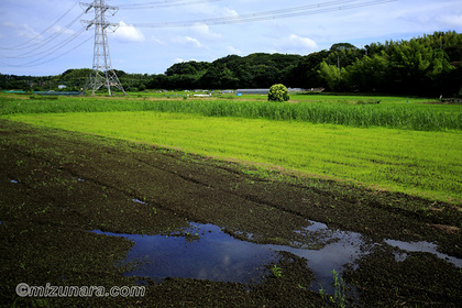 田園風景