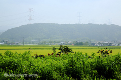 佐良土 田園風景