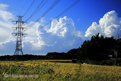 入道雲 稲田