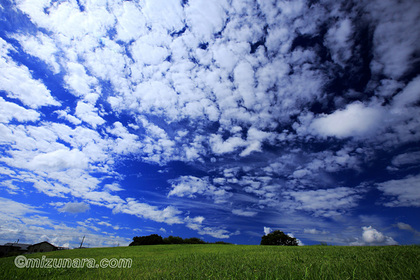 ひつじ雲