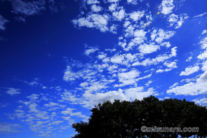 ひつじ雲 秋空