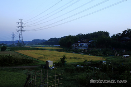 朝景 稲田