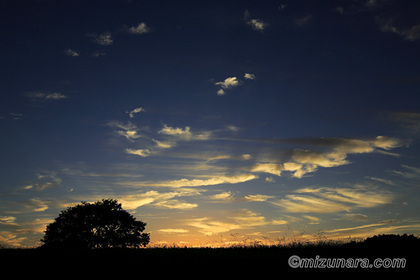 刷毛雲 夕景 夕焼け