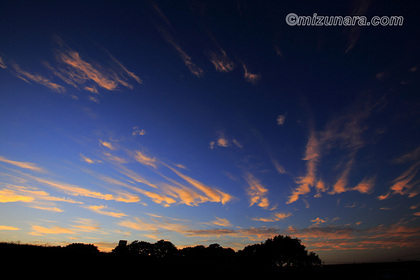 刷毛雲 夕景 夕焼け