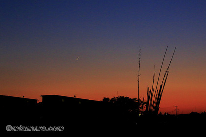 三日月 夕景