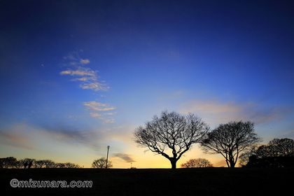 夕景