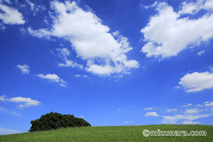 雲