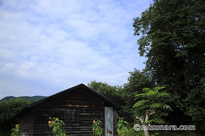 上山市