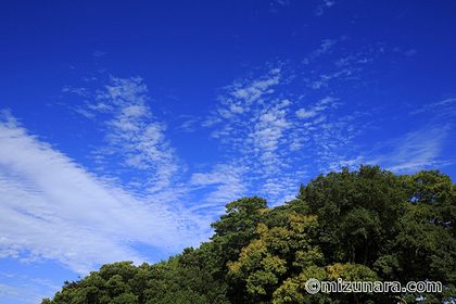 雲