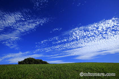 雲