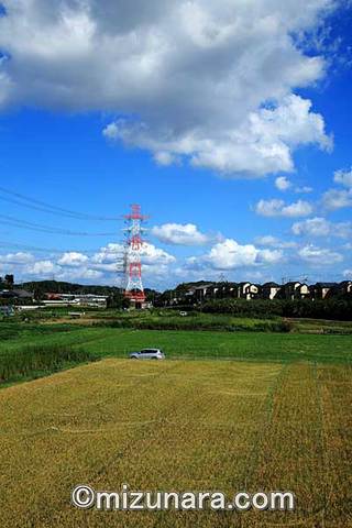 秋空 青空