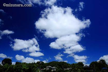 夏雲