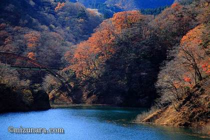 もみじ谷大吊橋 紅葉