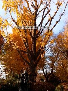 上野公園 紅葉