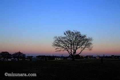 夕景 大晦日