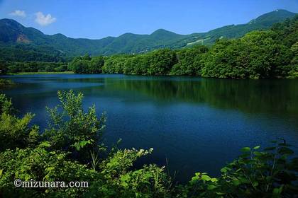 蔵王温泉 鴫の谷地沼