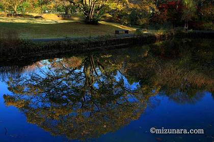 川村記念美術館 紅葉