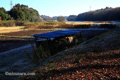 田園風景