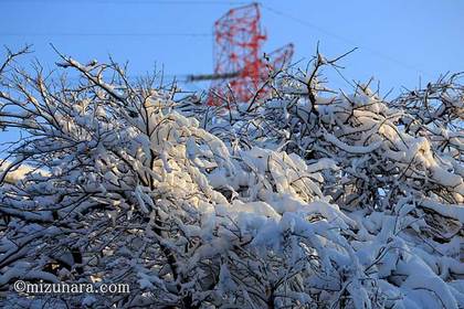 雪