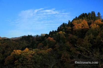 天童公園 紅葉 舞鶴山