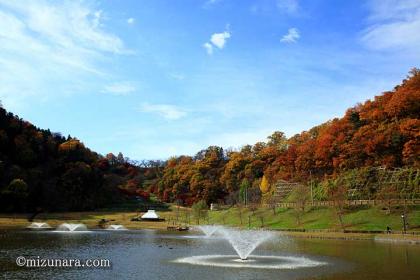 天童公園 紅葉