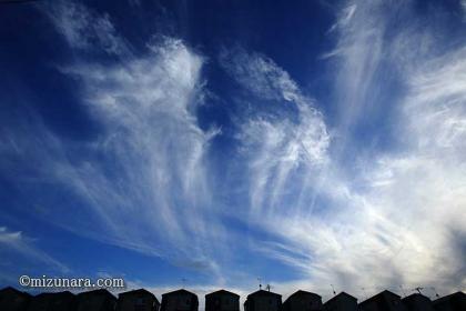 秋空 雲