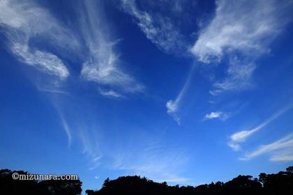 秋空 雲