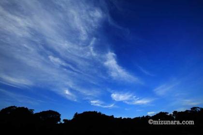 秋空 雲