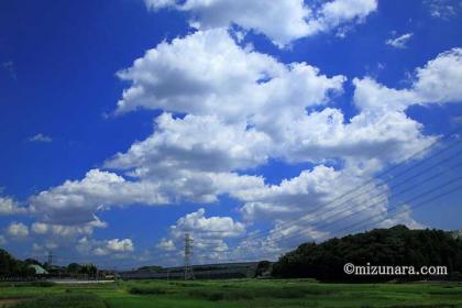 夏雲