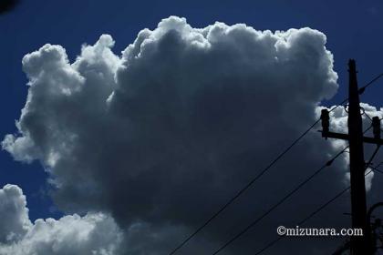 入道雲 雲