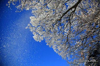 雪 雪けむり