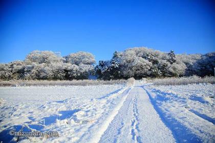 銀世界 雪