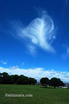 筋雲 雲