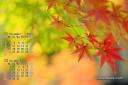 2025年11月 カエデ カレンダー壁紙 紅葉