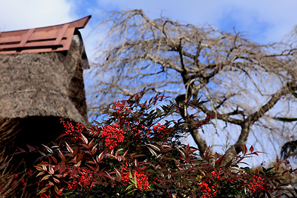 光丸山法輪寺