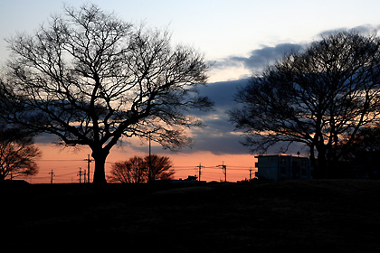 貝塚公園の夕暮れ