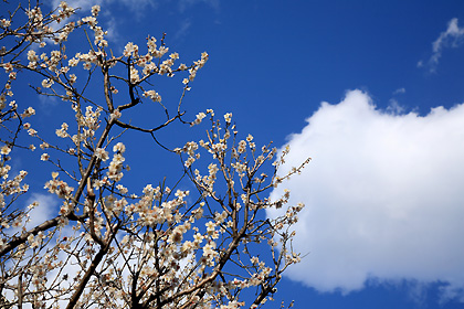 空は青空