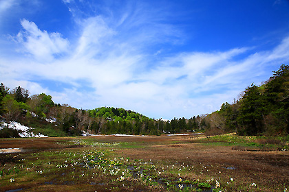 御池田代