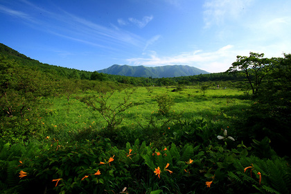 沼原湿原