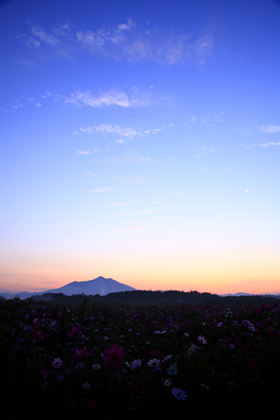 秋の夜明け 筑波山 ギャラリー水楢