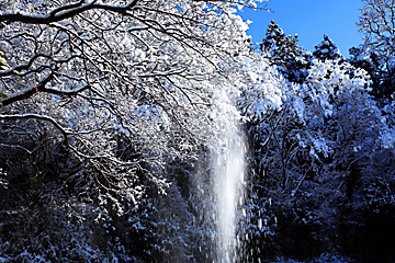 雪緩む